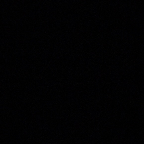 Meet your Posher, Josie - Picture 1 of 1